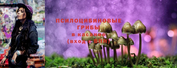 2c-b Аркадак