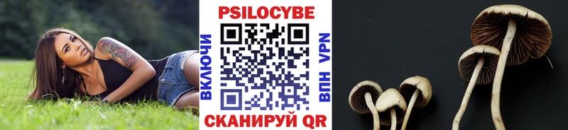 MEGA ссылки  Ува  Галлюциногенные грибы Psilocybine cubensis  как найти  